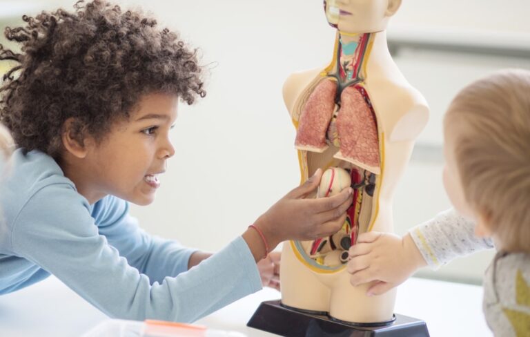 Teach Body Parts To Your Child Early - Oxford's Rocksfordz